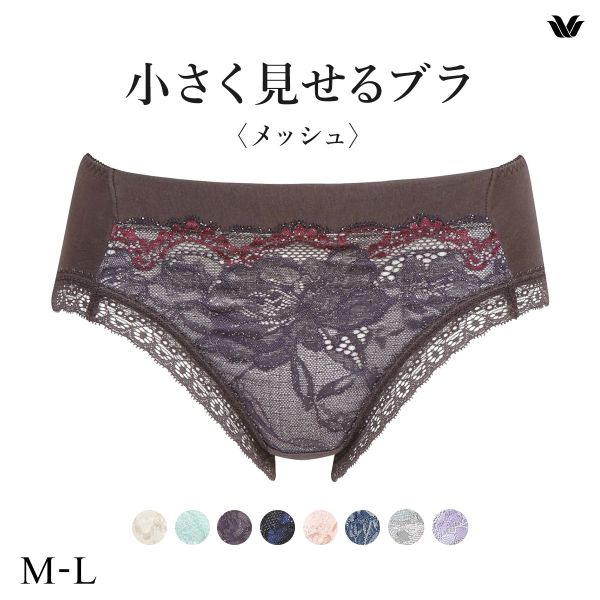 ワコール Wacoal 小さく見せるブラ BRB329 PRA129 ノーマルショーツ ML 単品