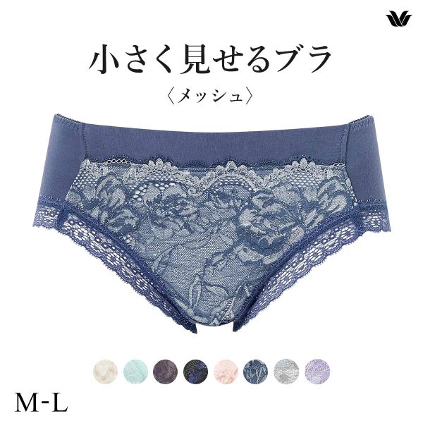 ワコール Wacoal 小さく見せるブラ BRB329 PRA129 ノーマルショーツ ML 単品