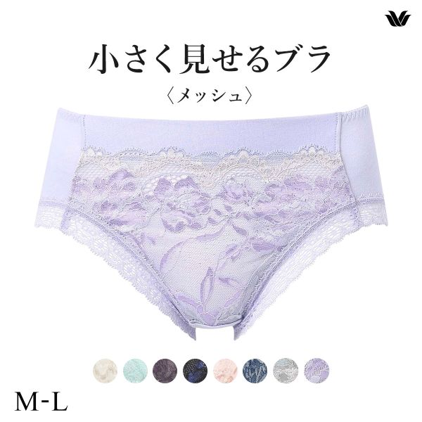 ワコール Wacoal 小さく見せるブラ BRB329 PRA129 ノーマルショーツ ML 単品