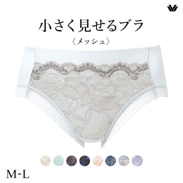 ワコール Wacoal 小さく見せるブラ BRB329 PRA129 ノーマルショーツ ML 単品