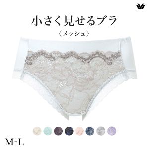 ワコール Wacoal 小さく見せるブラ BRB329 PRA129 ノーマルショーツ ML 単品