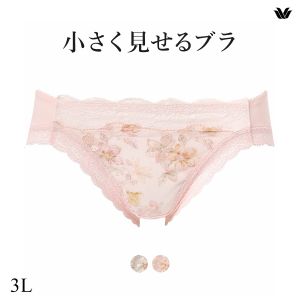 ワコール Wacoal 小さく見せるブラ BRB453 スタンダード ショーツ 3L 単品