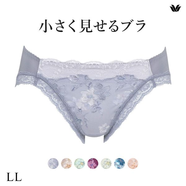 ワコール Wacoal 小さく見せるブラ BRB453 スタンダード ショーツ LL 単品