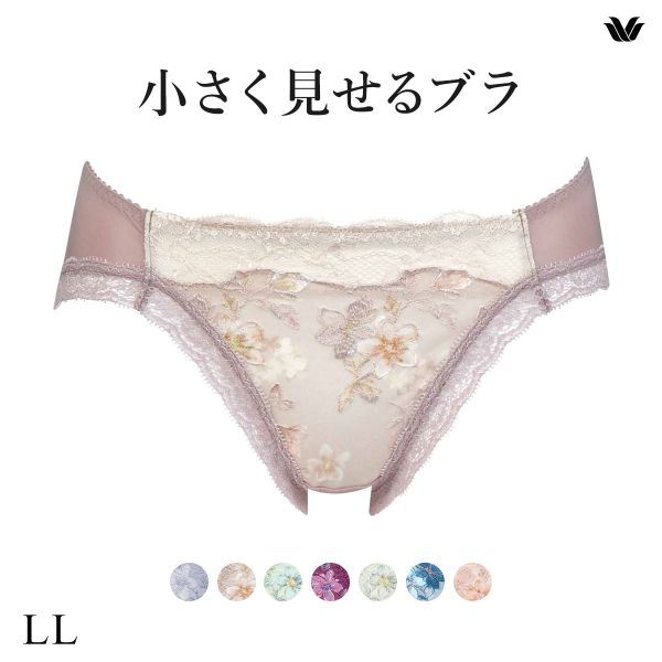 ワコール Wacoal 小さく見せるブラ BRB453 スタンダード ショーツ LL 単品