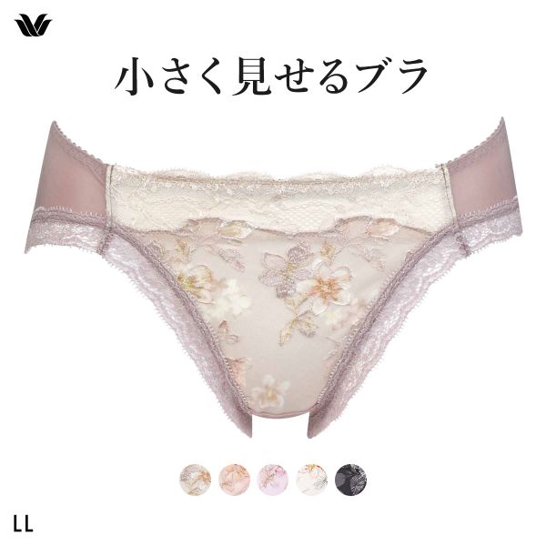 ワコール Wacoal 小さく見せるブラ BRB453 スタンダード ショーツ LL