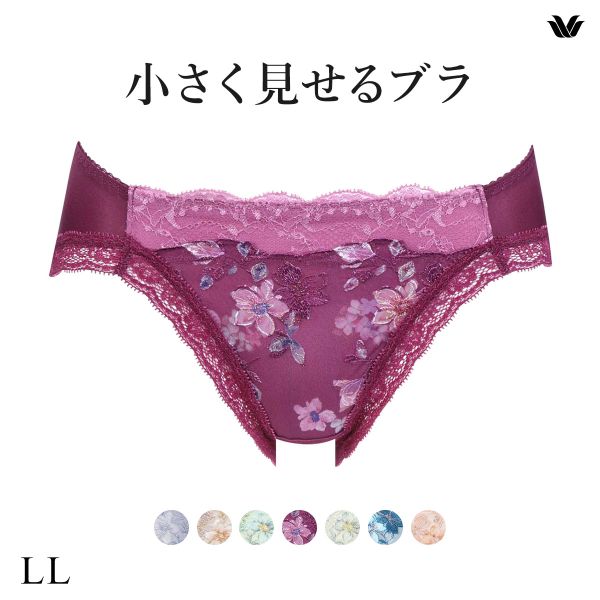 ワコール Wacoal 小さく見せるブラ BRB453 スタンダード ショーツ LL 単品