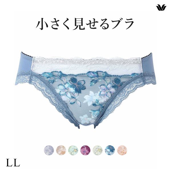 ワコール Wacoal 小さく見せるブラ BRB453 スタンダード ショーツ LL 単品