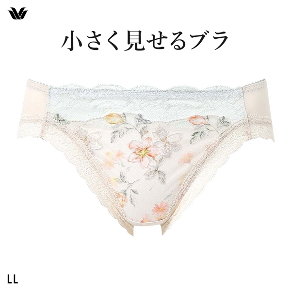 ワコール Wacoal 小さく見せるブラ BRB453 スタンダード ショーツ LL