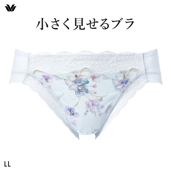 ワコール Wacoal 小さく見せるブラ BRB453 スタンダード ショーツ LL