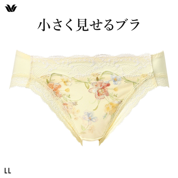ワコール Wacoal 小さく見せるブラ BRB453 スタンダード ショーツ LL