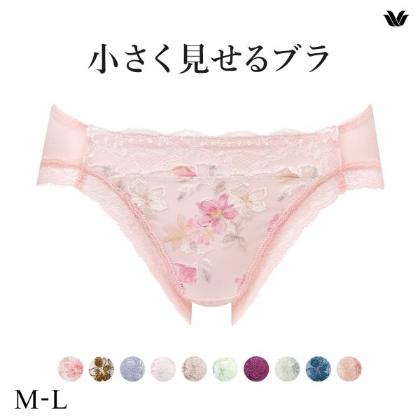 ワコール Wacoal 小さく見せるブラ BRB453 スタンダード ショーツ ML 単品