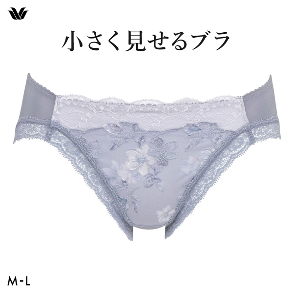 ワコール Wacoal 小さく見せるブラ BRB453 スタンダード ショーツ ML