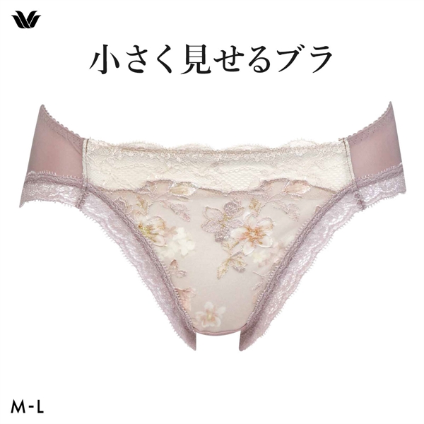 ワコール Wacoal 小さく見せるブラ BRB453 スタンダード ショーツ ML