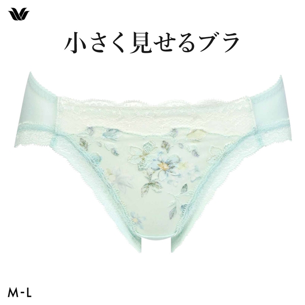 ワコール Wacoal 小さく見せるブラ BRB453 スタンダード ショーツ ML