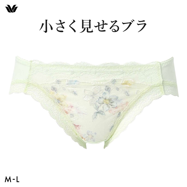 ワコール Wacoal 小さく見せるブラ BRB453 スタンダード ショーツ ML