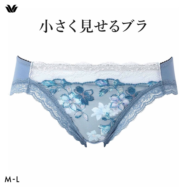 ワコール Wacoal 小さく見せるブラ BRB453 スタンダード ショーツ ML
