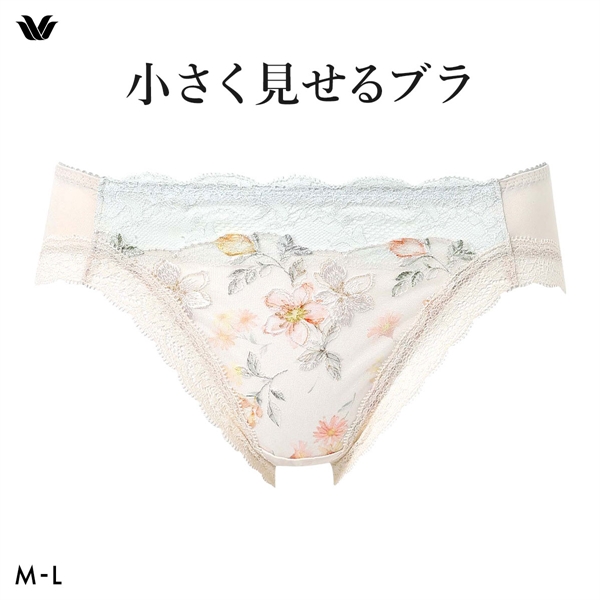 ワコール Wacoal 小さく見せるブラ BRB453 スタンダード ショーツ ML