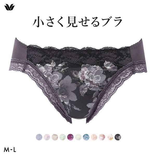 ワコール Wacoal 小さく見せるブラ BRB453 スタンダード ショーツ ML