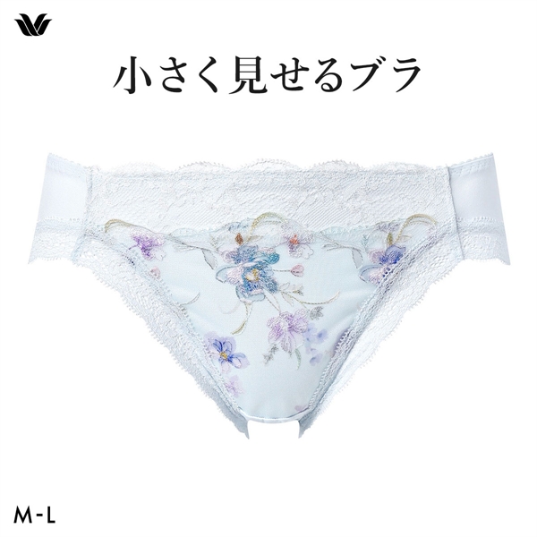 ワコール Wacoal 小さく見せるブラ BRB453 スタンダード ショーツ ML