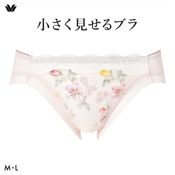 ワコール Wacoal 小さく見せるブラ BRB453 スタンダード ショーツ ML