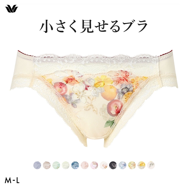 ワコール Wacoal 小さく見せるブラ BRB453 スタンダード ショーツ ML