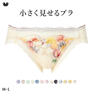 ワコール Wacoal 小さく見せるブラ BRB453 スタンダード ショーツ ML