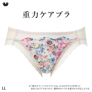 ワコール 重力ケアブラ ショーツ ハイレッグ あさめ LL Wacoal BXB194 PXB194