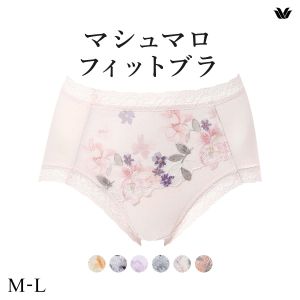 ワコール Wacoal マシュマロフィットブラ BXB486 ペア ノーマル ショーツ ML はきこみ丈ふつう PXB286 単品