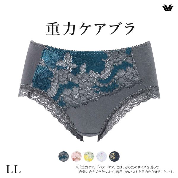 ワコール Wacoal 重力ケアブラ BXB194 PXB294 ショーツ ノーマル ふつう LL 単品