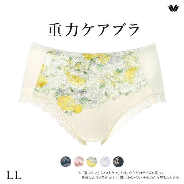 ワコール Wacoal 重力ケアブラ BXB194 PXB294 ショーツ ノーマル ふつう LL 単品