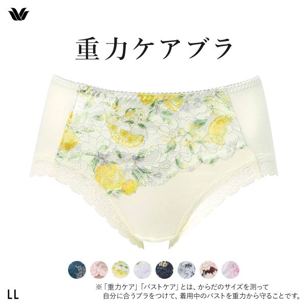 ワコール Wacoal 重力ケアブラ BXB194 PXB294 ショーツ ノーマル ふつう LL