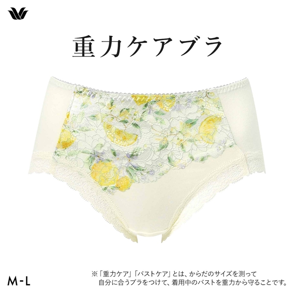 ワコール Wacoal 重力ケアブラ BXB194 PXB294 ショーツ ノーマル ふつう ML