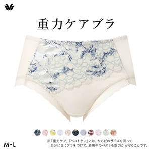 ワコール Wacoal 重力ケアブラ BXB194 PXB294 ショーツ ノーマル ふつう ML
