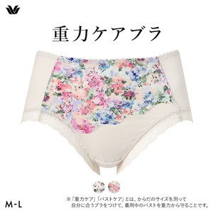 ワコール 重力ケアブラ ショーツ ノーマル ふつう ML Wacoal BXB194 PXB294