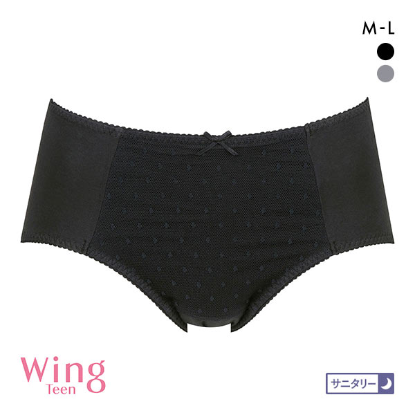 ワコール Wacoal ウイング Wing teen サニタリーショーツ 多い日用 ナイト用 ML ジュニア ティーン パンツ 羽付きナプキン対応 単品