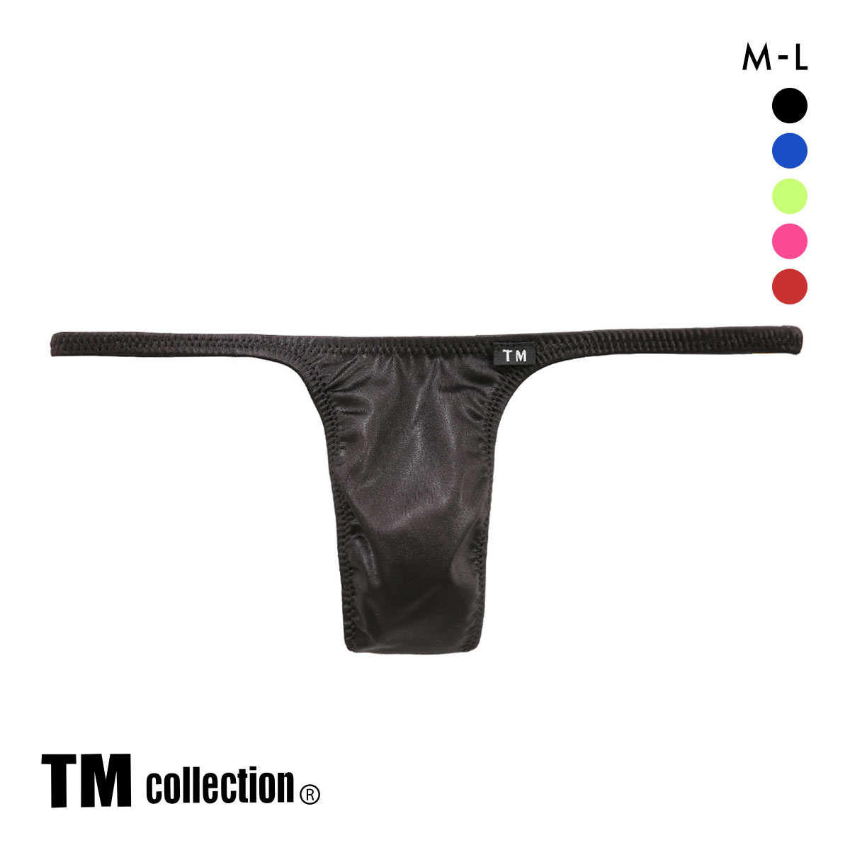 ティーエム コレクション 水着素材 sexy ML メンズ 前とじ Tバック TM collection