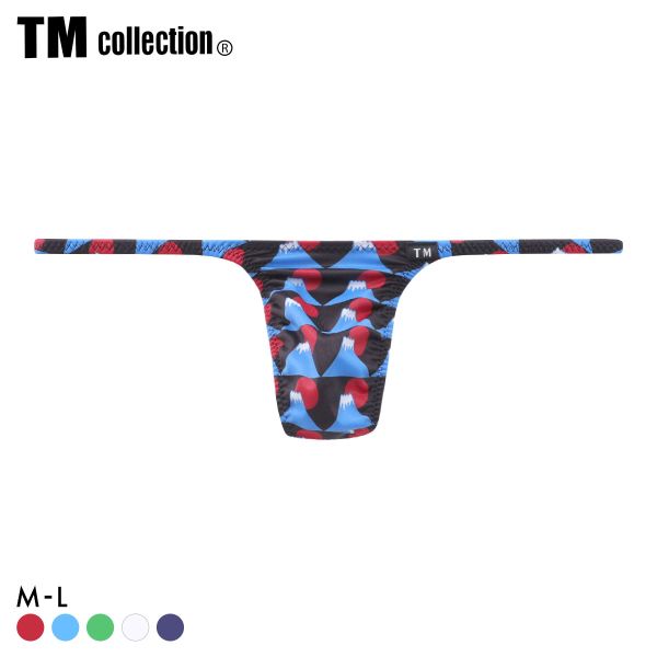 ティーエム コレクション N-3 National Flag ハギナシシャープ Tバック ビキニ メンズ TM collection