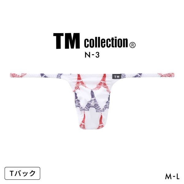 ティーエム コレクション N-3 National Flag ハギナシシャープ Tバック ビキニ メンズ TM collection
