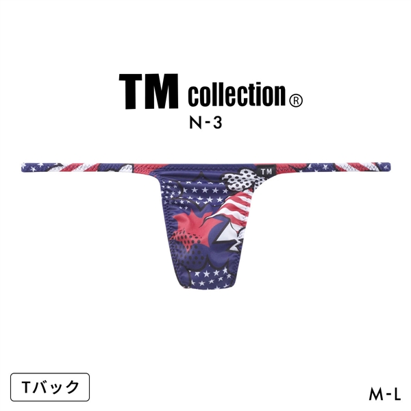 ティーエム コレクション N-3 National Flag ハギナシシャープ Tバック ビキニ メンズ TM collection