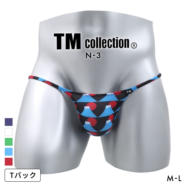 ティーエム コレクション N-3 National Flag ハギナシシャープ Tバック ビキニ メンズ TM collection