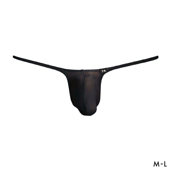 ティーエム コレクション New T2M2 JUST IMPACT TB modest Tバック ビキニ メンズ TM collection 日本製