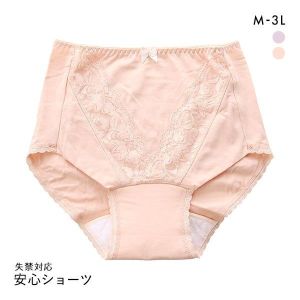 失禁対応 安心ショーツ 吸水布付き 消臭制菌 M L LL 3L