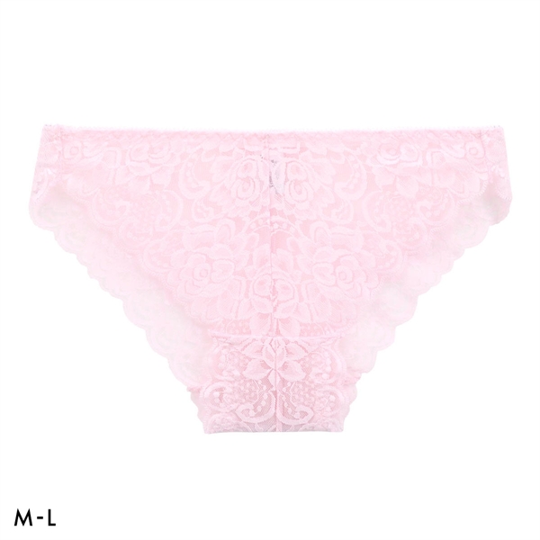 総レース ショーツ ノーマルショーツ 透け セクシー 過激 M L 下着