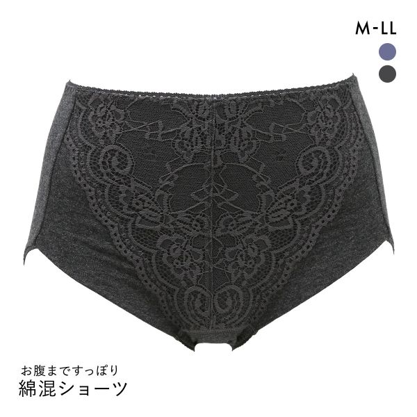 すっぽりレースショーツ M L LL 綿95％ スタンダード ショーツ ハイウエスト 大きいサイズ 綿混 コットン混
