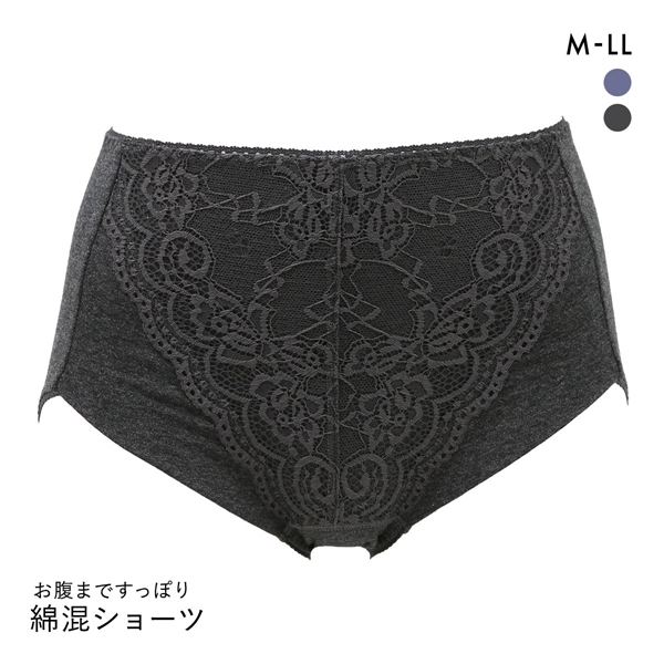 すっぽりレースショーツ M L LL 綿95％ スタンダード ショーツ ハイウエスト 大きいサイズ 綿混 コットン混