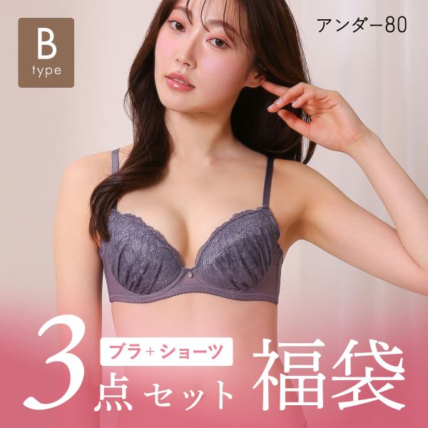 ブラジャー ショーツ 3点セット 福袋 選べる5タイプ おまかせ 刺繍レース おしゃれ シンプル B80 C80 D80 E80 F80