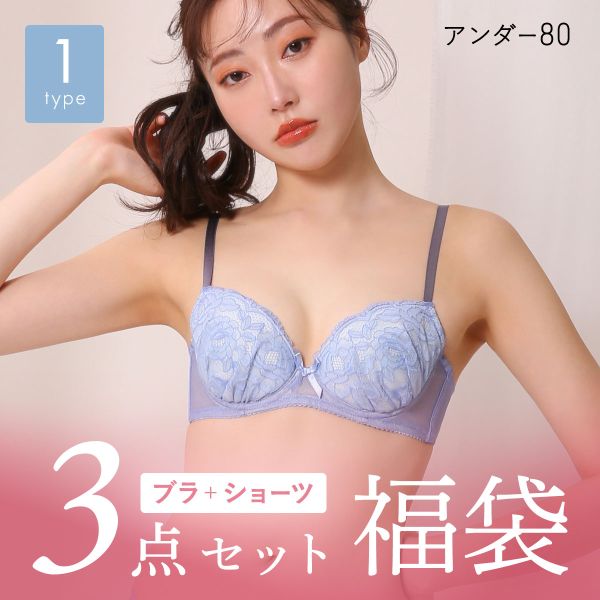 ブラジャー ショーツ 3点セット 福袋 選べる5タイプ おまかせ 刺繍レース おしゃれ シンプル B80 C80 D80 E80 F80