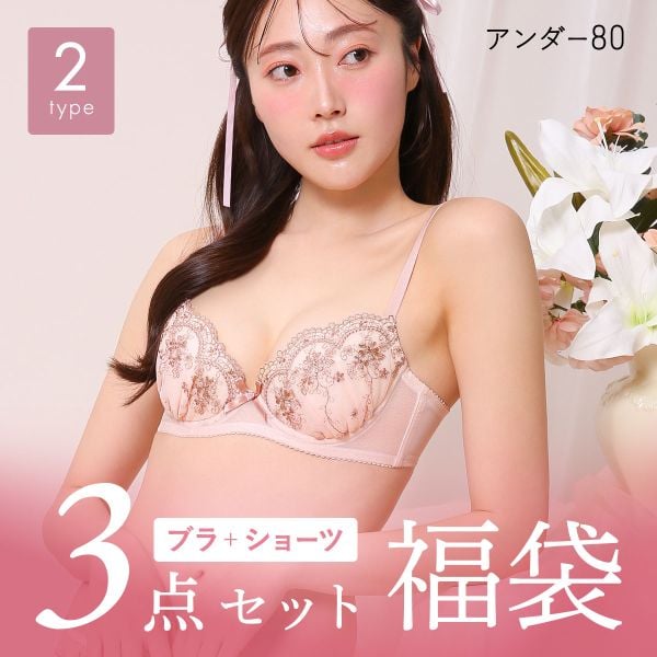 ブラジャー ショーツ 3点セット 福袋 選べる5タイプ おまかせ 刺繍レース おしゃれ シンプル B80 C80 D80 E80 F80