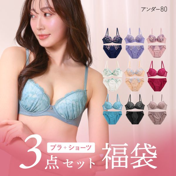ブラジャー ショーツ 3点セット 福袋 選べる5タイプ おまかせ 刺繍レース おしゃれ シンプル B80 C80 D80 E80 F80