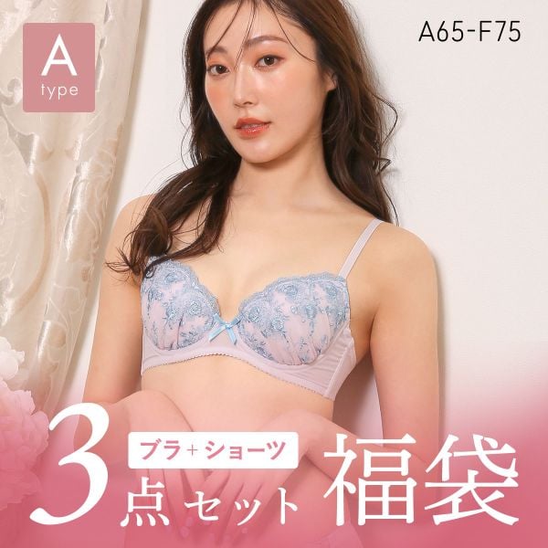 ブラジャー ショーツ 3点セット 福袋 選べる5タイプ おまかせ 刺繍 レース おしゃれ シンプル ABCDEF 大きいサイズ